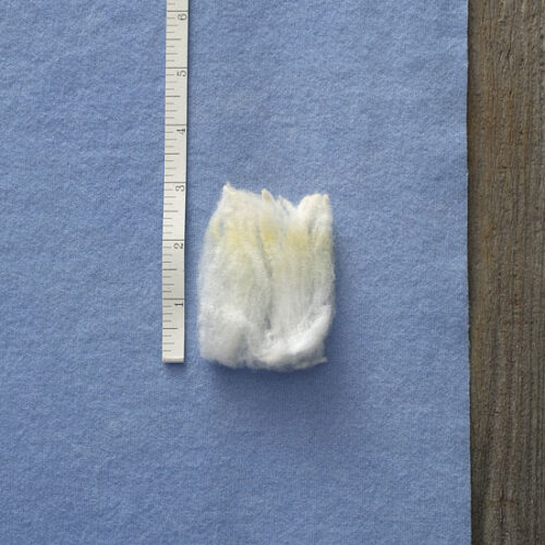 Rambouillet Wool Facts